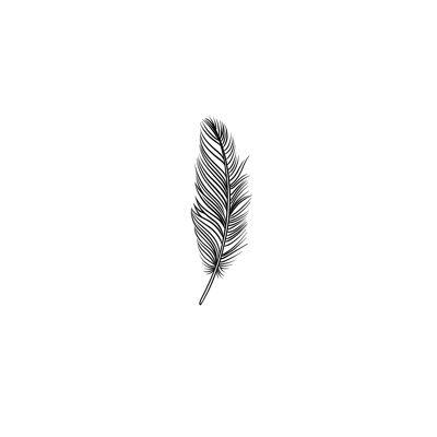 Feather