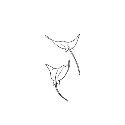 Manta rays