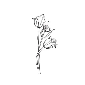 Tatouage tulipe 2