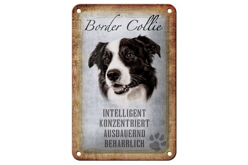 Blechschild Spruch 12x18cm Border Collie Hund Geschenk Dekoration