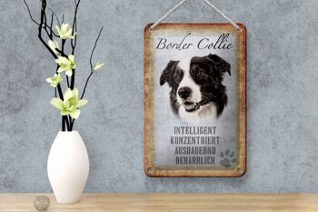 Panneau en étain disant 12x18cm, décoration cadeau pour chien Border Collie 4