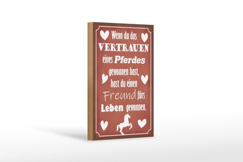 Holzschild Spruch 12x18 cm Vertrauen eines Pferdes Freund