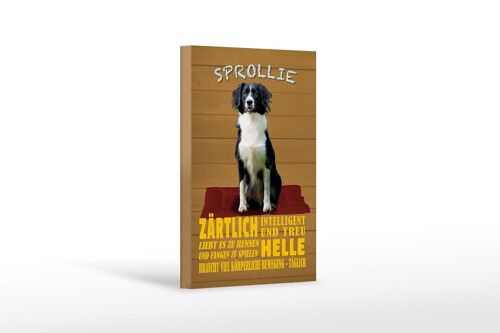 Holzschild Spruch 12x18 cm Sprollie Hund zärtlich und treu Dekoration
