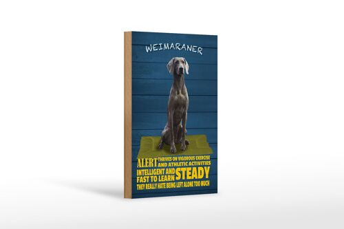 Holzschild Spruch 12x18cm Weimaraner Hund alert and steady Dekoration