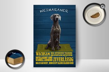 Panneau en bois disant 12x18 cm Braque de Weimar chien alerte décoration rapide 2