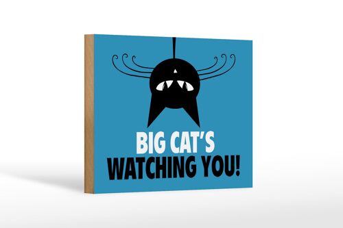 Holzschild Spruch 18x12 cm Big cat`s watching you Katze Dekoration