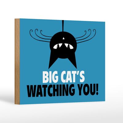Holzschild Spruch 18x12 cm Big cat`s watching you Katze Dekoration