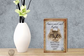 Panneau en bois disant 12x18 cm American Curl Cat décoration cadeau 3