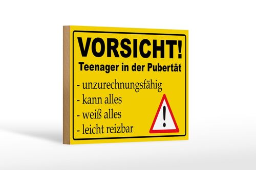 Holzschild Hinweis 18x12cm Vorsicht Teenager in Pubertät Dekoration
