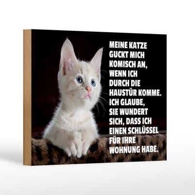 Holzschild Spruch 18x12cm Katze guckt mich komisch an Dekoration