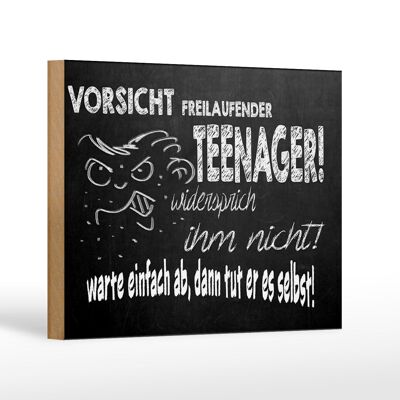 Holzschild Spruch 18x12cm Vorsicht freilaufender Teenager Dekoration