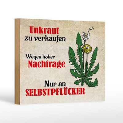 Holzschild Spruch 18x12cm Unkraut nur an Selbstpfücker Dekoration