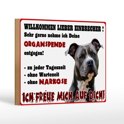 Letrero de madera aviso 18x12 cm perro bienvenida decoración antirrobo