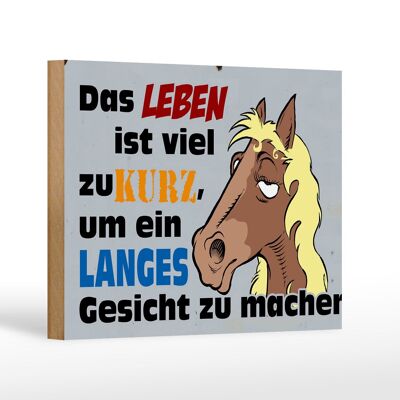 Holzschild Spruch 18x12 cm das Leben ist zu kurz um Pferd Dekoration