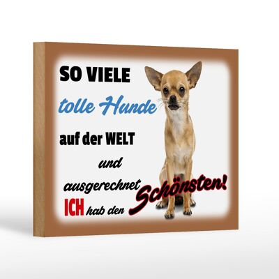 Holzschild Spruch 18x12 cm ich hab den schönsten Hund Dekoration