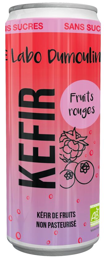 Kefir Fruits Rouges bio 25cl - canette