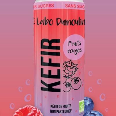 Kéfir de Frutos Rojos Ecológico 25cl - lata