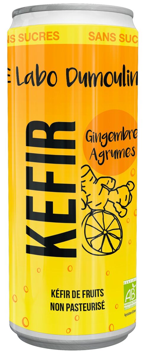 Kefir Gingembre Agrumes bio 25cl - canette