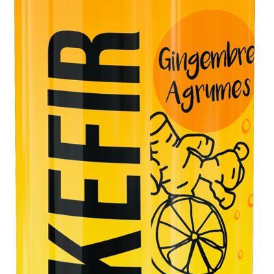 Kefir Ginger Citrus organic 25cl - can