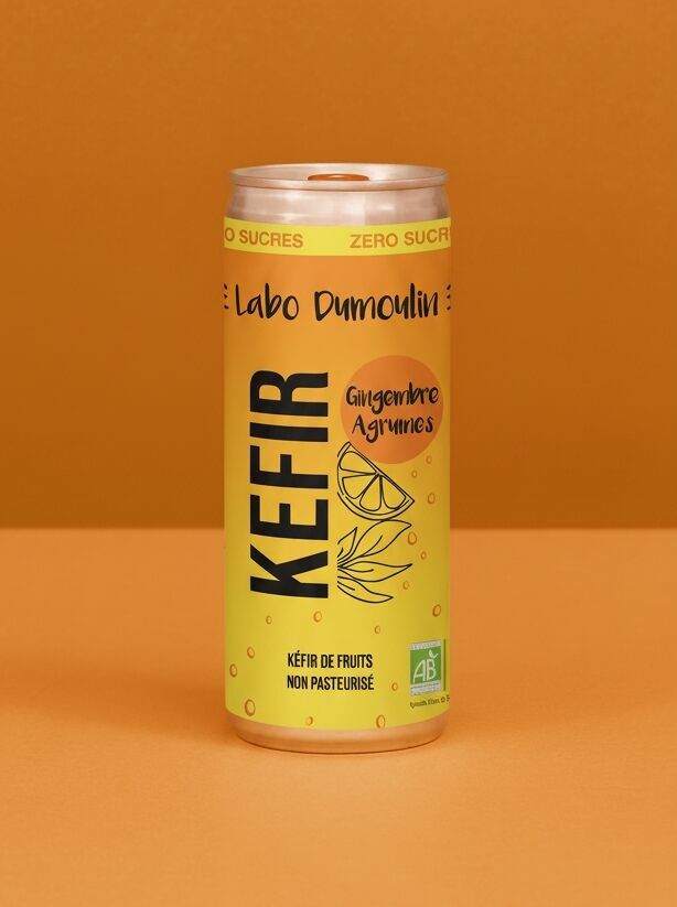 Ginger Citrus Kefir 25cl can - ZERO SUGAR, UNPASTEURIZED
