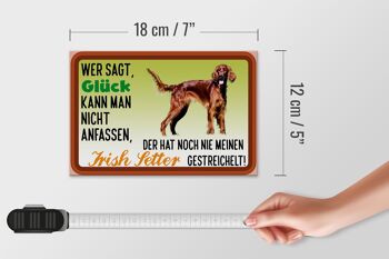 Panneau en bois indiquant 18x12 cm Décoration de chien Lucky Irish Setter 4