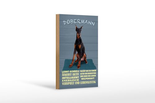 Holzschild Spruch 12x18 cm Dobermann lernt schnell Hund Dekoration