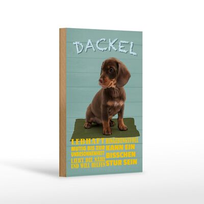 Holzschild Spruch 12x18 cm Dackel Hund lebhaft mutig stur Dekoration