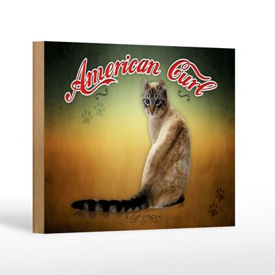 Wooden sign cat 18x12 cm American Curl wall decoration