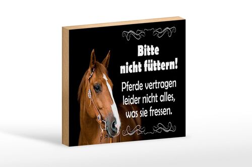 Holzschild Spruch 18x12 cm bitte nicht füttern Pferde Dekoration