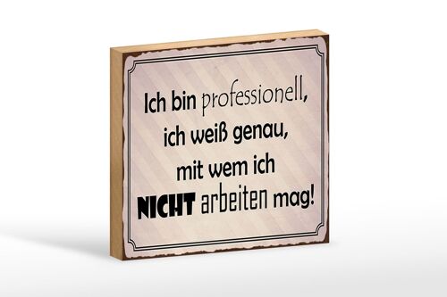 Holzschild Spruch 18x12 cm ich bin professionell ich weiß Dekoration