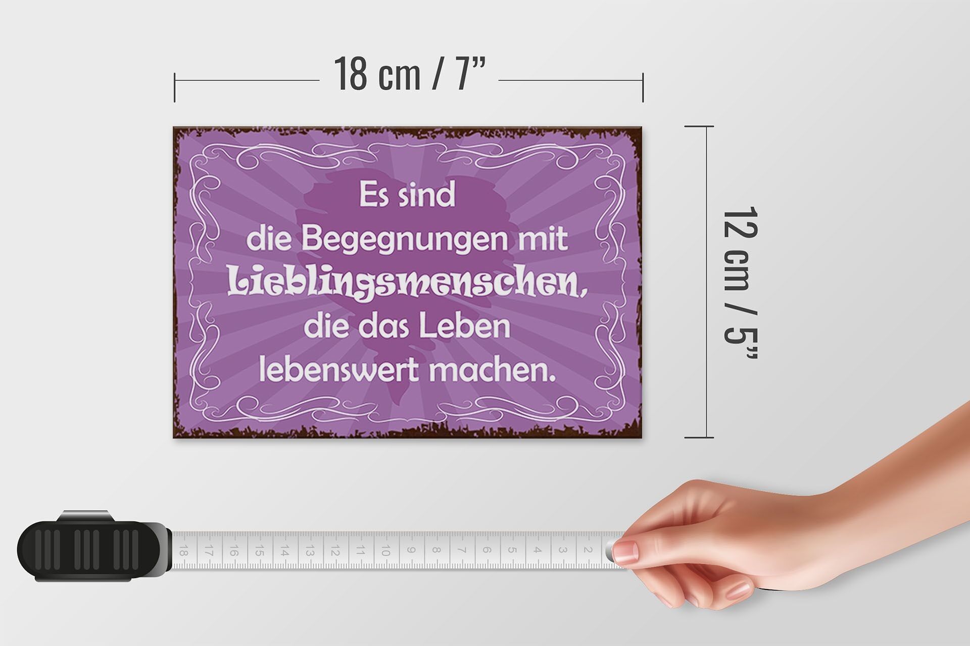 Holzschild Spruch 18x12 cm Begegnungen Lieblingsmenschen Dekoration