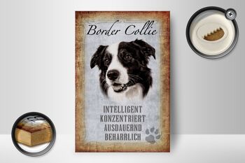 Panneau en bois indiquant 12x18 cm Décoration cadeau pour chien Border Collie 2
