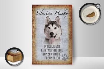 Panneau en bois disant 12x18 cm décoration cadeau chien Husky sibérien 2