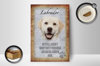 Panneau en bois disant 12x18 cm décoration cadeau chien Labrador 2