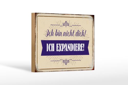 Holzschild Spruch 18x12 cm bin nicht dick ich expandiere Dekoration