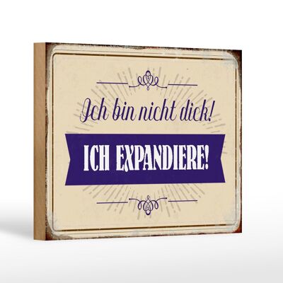 Holzschild Spruch 18x12 cm bin nicht dick ich expandiere Dekoration