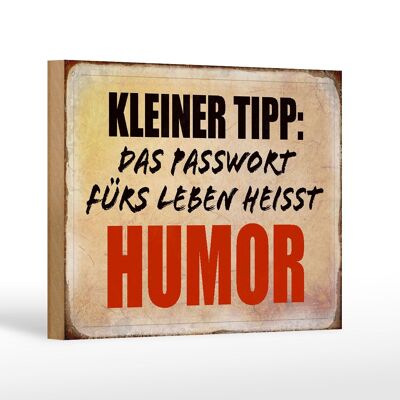 Holzschild Spruch 18x12 cm kleiner Tipp das Passwort Humor Dekoration