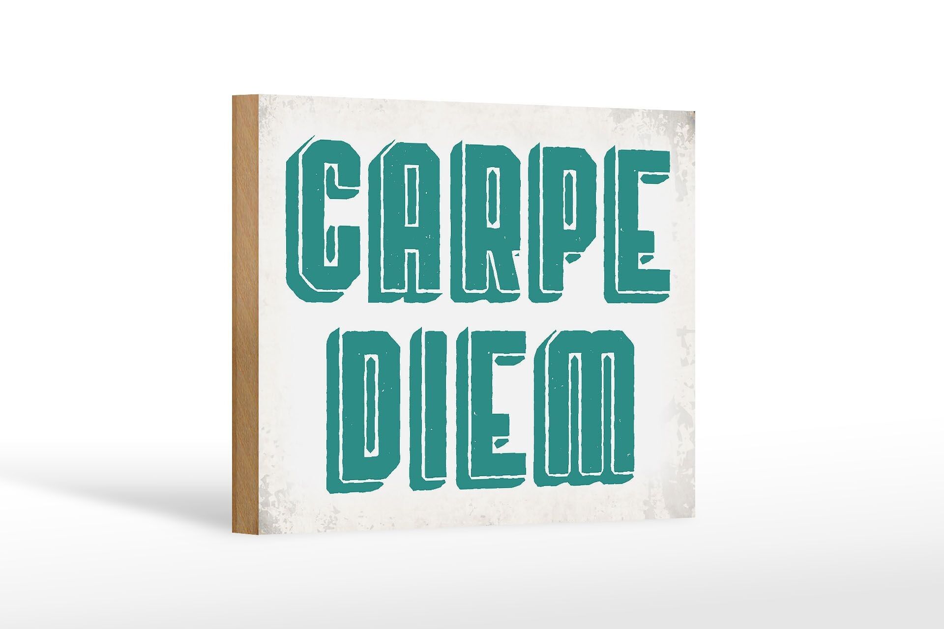 Wooden sign saying 18x12 cm carpe diem seize your day decoration