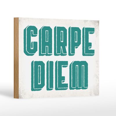 Holzschild Spruch 18x12 cm carpe diem nutze dein Tag Dekoration