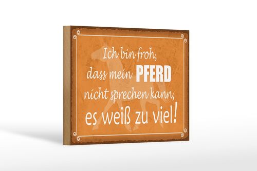 Holzschild Spruch 18x12cm bin froh mein Pferd nicht spricht Dekorationschild