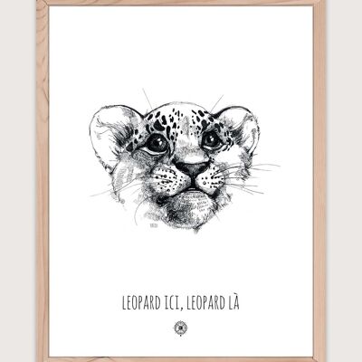 Cartel de leopardo