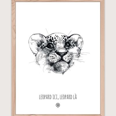 Poster leopardo