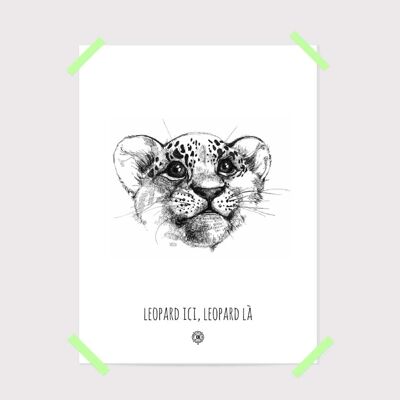 Poster leopardo