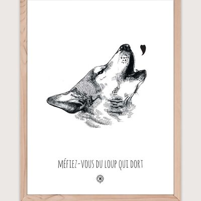 Poster di lupo