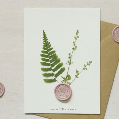 Fern sealed herbarium • 13×18 cm card • customizable