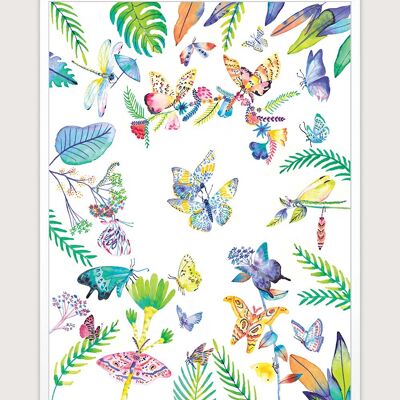 Butterflies poster