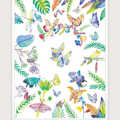 Schmetterlinge-Plakat