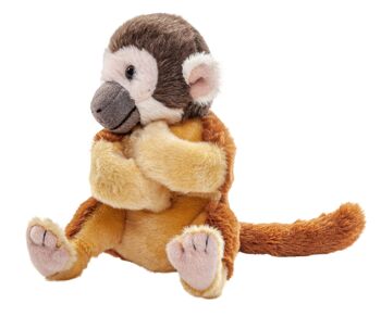 Singe écureuil avec bras à pince - 18 cm (hauteur) - Mots clés : Animal sauvage exotique, singe, singe-araignée, pince à bras, peluche, peluche, peluche, peluche 3