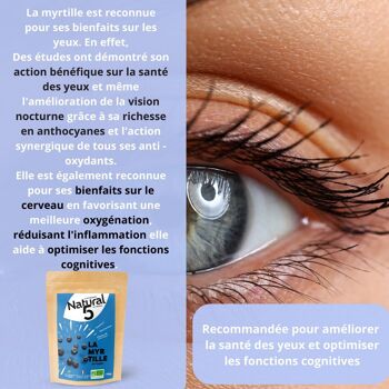 MYRTILLE POUDRE BIO 120g Santé des yeux, anti6oxydant puissant, Immunité 5