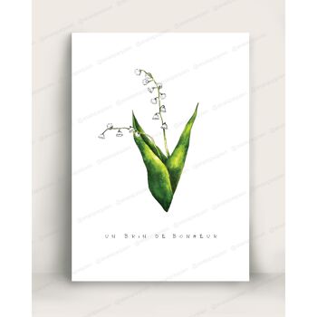 Muguet